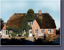 Rund ums Haus Bild
